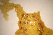 救命药！狗严重拉血怎么办？（宠物狗拉血不止，这些药可帮上忙！）