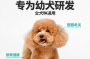 选择适合博美长毛的狗粮（为您的博美提供最佳的毛发护理）