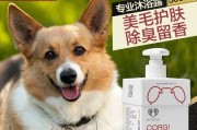 狗狗除蚤方法大全（以宠物为主，让狗狗远离蚤子）