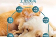 狗肠炎（全面了解狗肠炎及其治疗方案，让您的爱犬重获健康）