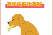 狗狗不能吃的食物（危害狗狗健康的食物有哪些？）