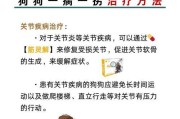 腿瘸的原因及相关治疗方法探析（解析导致腿瘸的主要因素及其治疗方案）
