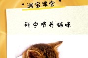 猫咪寿命之谜（揭开猫咪寿命背后的秘密，让我们了解猫咪的生命长河）