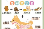 狗狗肠胃不适的治疗方法及药物推荐（细说狗狗肠胃不适的原因和解决方案）