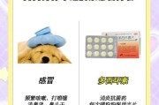 宠物狗传播的疾病及预防措施（保护您和您的宠物免受疾病威胁的关键）