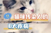 猫传染病之谜（深入探究猫与人类传染病的关系）