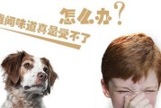 如何保障宠物小狗的健康？（宠物小狗健康的保障措施）