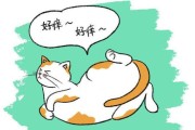狗狗毛发褪色，为何以狗未老，毛先白？（探究狗狗毛发褪色的原因及相关保养方法）