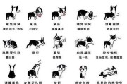 通过狗的行为辨别主人的方法（如何通过狗的表现判断主人特点与性格特征）