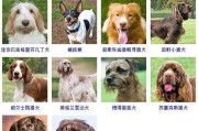 全球犬种百科