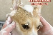 选择适合宠物狗的沐浴露（避免以外观和香味为主的误区）
