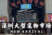 深圳狗场（深圳狗场的发展历程与未来展望）