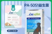 宝贝小猫要吃什么好？（一篇关于给刚生下小猫的母猫提供适宜食物的指南）
