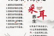 耳根异味（探究耳根异味背后的奥秘）