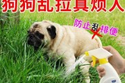 刚出生小狗的大便特征（从颜色、质地到频率，你需要知道的一切）