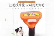如何给短毛狗梳毛？（掌握短毛狗梳毛技巧，让它美美哒！）