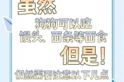 狗狗能吃奶酪吗？（给狗狗喂奶酪的注意事项）