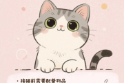 新手养猫 | 从接猫到养护的实用指南