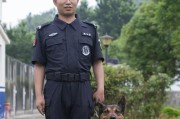 狗舍证件申请指南（办理狗舍证件所需资料及流程）