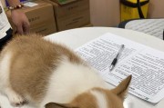 两个月内，这种狗猛然长大，令人惊叹！（探索迅速成长的秘密，一个揭示真相）
