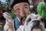 狗的起源与进化（从野生到家养，人类最亲密的伴侣已经伴随我们多少年了？）