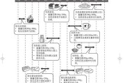 三角洲狐松鼠的饲养方法（打造温馨萌宠家庭，养育可爱三角洲狐松鼠）