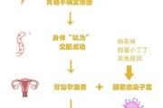 猫嘴里长脓的原因（了解猫嘴里长脓的常见原因及预防方法）