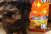 狗粮中加点食盐有什么好处？（探究狗粮中加食盐的原因，为宠物健康护航）