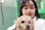 泰迪犬（探索泰迪犬的独特特点和魅力）