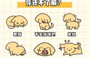 幼犬常见疾病及解决办法（了解8种常见幼犬疾病，保护你的宠物健康）