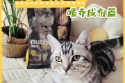小猫养护（从健康饮食开始，让小猫远离疾病的侵袭）