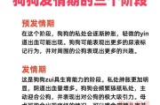 养母狗的好处——探寻母狗的6个优点（为你的家庭增添温暖和快乐，）