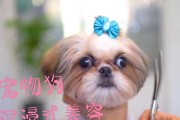 宠物狗美容频率的选择（以宠物狗多久美容一次才好？）