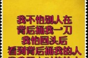 西施犬肉食有害无益（探究西施犬肉食的真相，提醒宠物主人注意宠物健康）