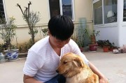 金毛犬怀孕注意事项（保障宠物和宝宝健康，精心照顾孕期金毛）