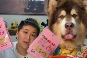 宠物健康饮食指南——以阿拉斯加喂养零食不可多（如何保障宠物的健康成长？）