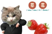 猫怀孕了要吃哪些水果？（宠物猫孕育期的合理水果饮食安排）