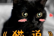 揭秘猫咪憋屎的真相（探寻猫咪为何忍痛憋屎的奥秘）