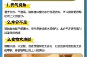 半个月小猫饮食指南（半个月小猫的饮食需求及适合食用的食物）