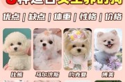 冬季养育新生狗狗的小妙招（如何在冬季为新生狗狗提供适宜的护理和环境）