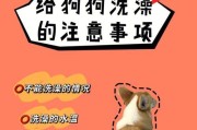 宠物犬冬季洗澡全指南（如何科学的洗澡让狗狗健康度过冬季）