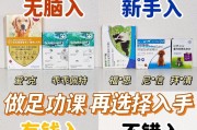 科学喂养（帮助你选择正确的给狗狗吃去虫药时间，为它们的健康保驾护航）