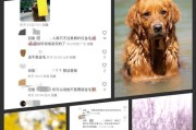 狗的忠心（探究狗对人类的忠诚原因及其关键特质）
