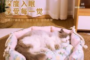 宠物用品全面解析（从食物到玩具，为你的宠物提供最全面的关怀！）