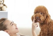 如何给宠物狗狗洗澡？（重要的要点和注意事项，狗狗洗澡的正确方式）