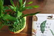 宠物抑郁症（解决宠物抑郁的技巧与方法）