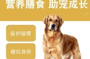 宠物狗吃天然粮的好处（从健康、营养和环保三方面详解）