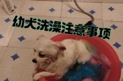 小狗打针后洗澡的最佳时间（养狗人士必须知道的关键时刻）