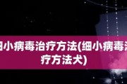 宠物犬细小病毒的预防与治疗（了解犬细小病毒，宠物犬健康无忧）