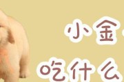 金毛必备狗粮选择大揭秘！（以宠物为主，定制健康饮食计划）